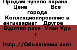 Продам чучело варана › Цена ­ 15 000 - Все города Коллекционирование и антиквариат » Другое   . Бурятия респ.,Улан-Удэ г.